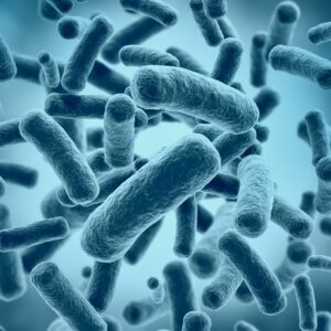 Fortbildung Mikroben als Heilmittel? Evidenzbasierte Beratung von Probiotika