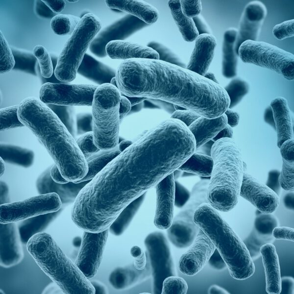 Fortbildung Mikroben als Heilmittel? Evidenzbasierte Beratung von Probiotika